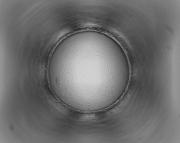 X0000115211313200911121856