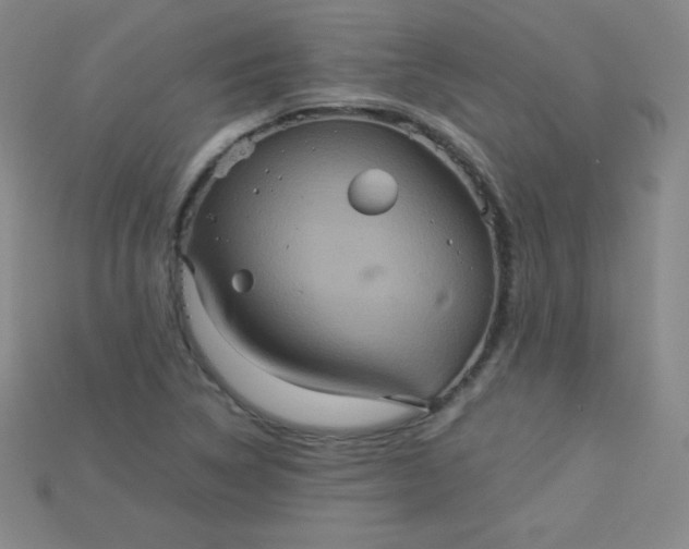 X0000115211314200911121856