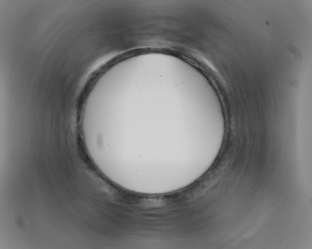 X0000115211315200911121856