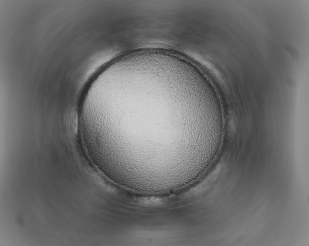 X0000115211317200911121856