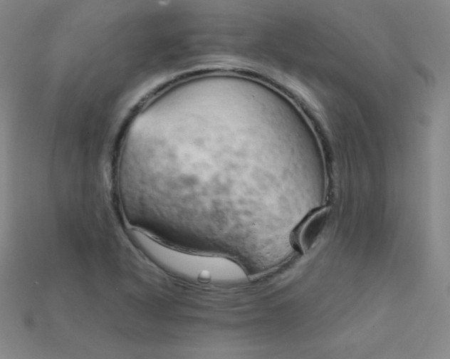 X0000115211318200911121856