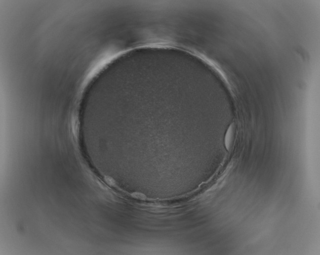 X0000115211319200911121856
