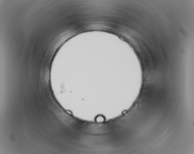 X0000115211322200911121856