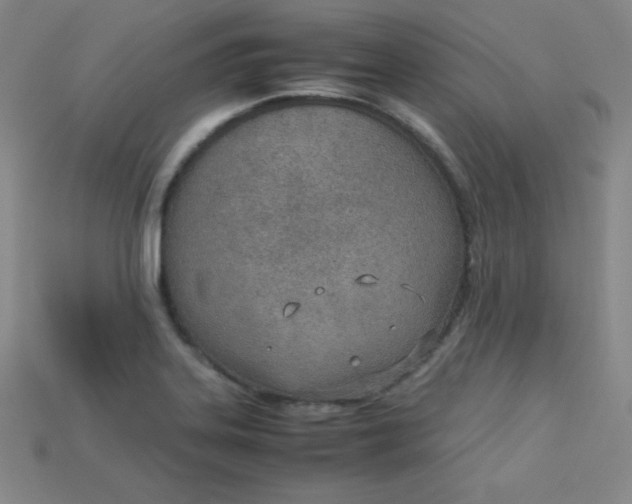 X0000115211323200911121856
