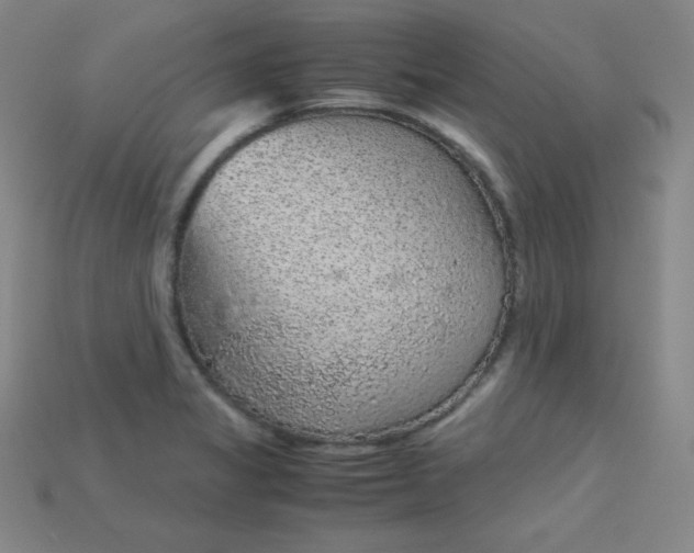 X0000115211325200911121856