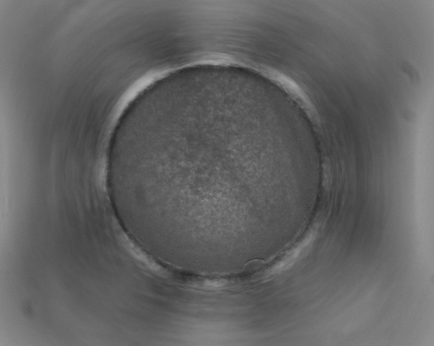 X0000115211326200911121856