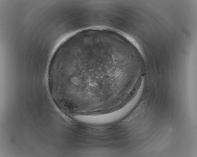 X0000115211327200911121856