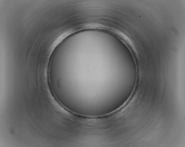X0000115211330200911121856