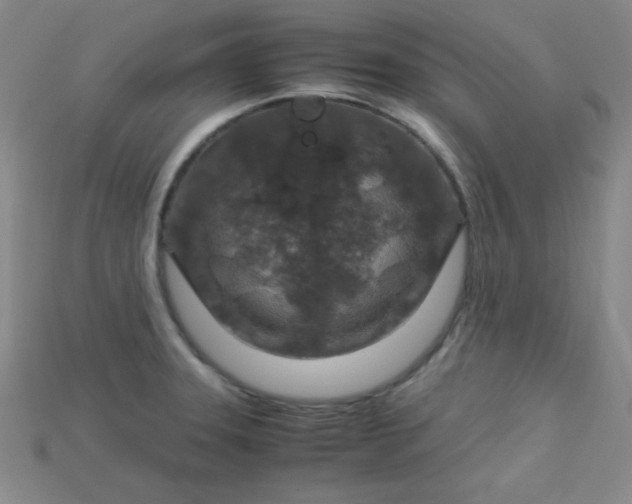 X0000115211331200911121856