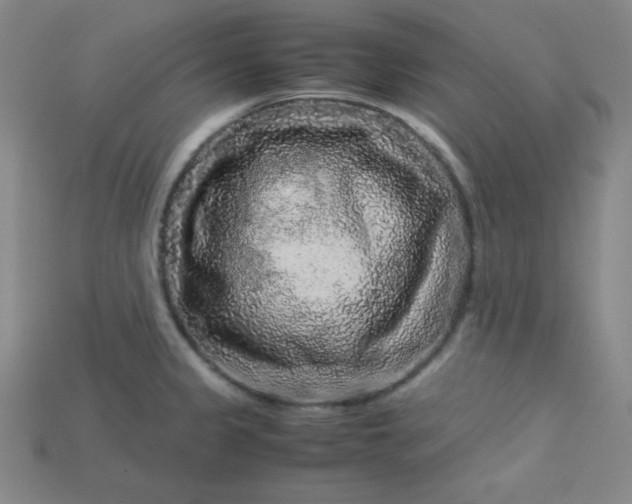 X0000115211333200911121856