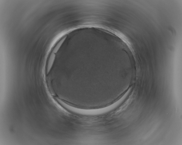 X0000115211334200911121856