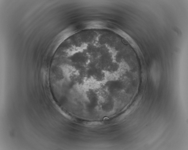 X0000115211337200911121856
