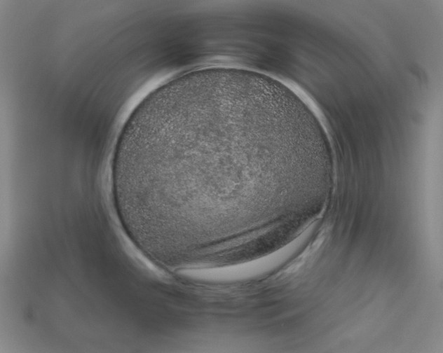 X0000115211341200911121856