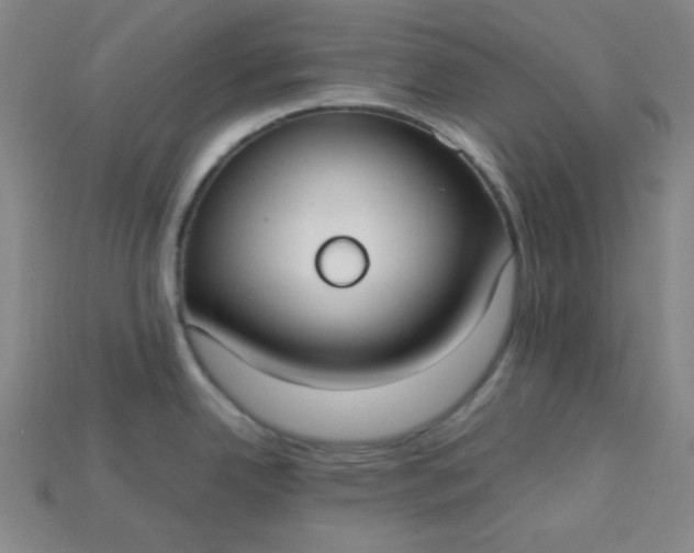X0000115211342200911121856