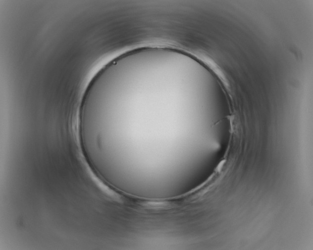 X0000115211343200911121856