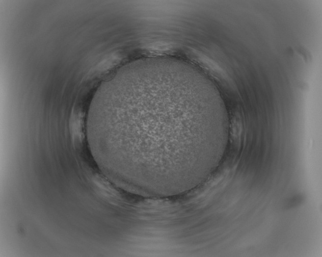 X0000115211346200911121856