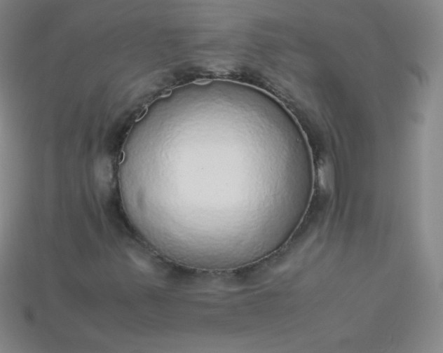 X0000115211347200911121856