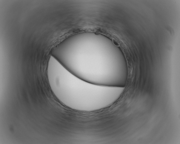 X0000115211348200911121856