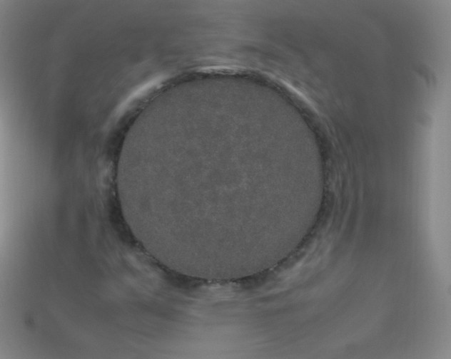 X0000115211351200911121855