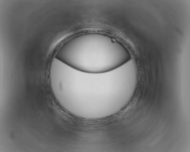X0000115211352200911121855