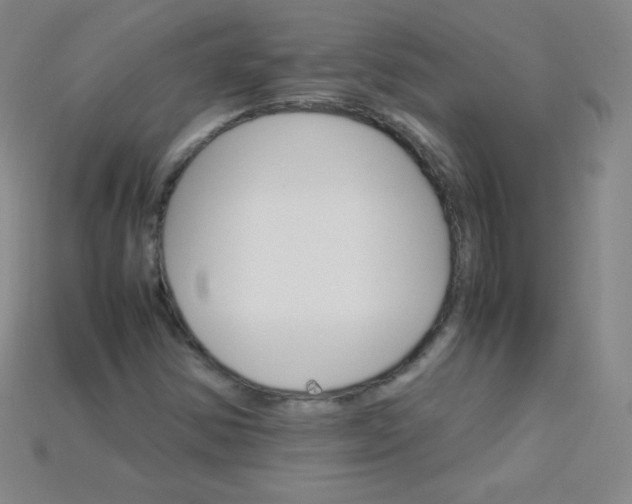 X0000115211354200911121855