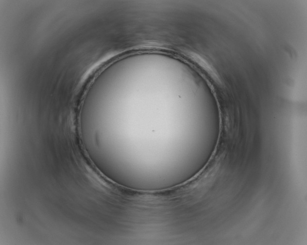 X0000115211356200911121855