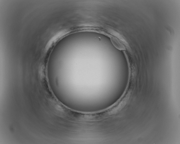 X0000115211357200911121855