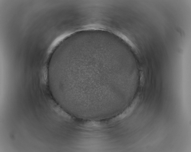 X0000115211358200911121855