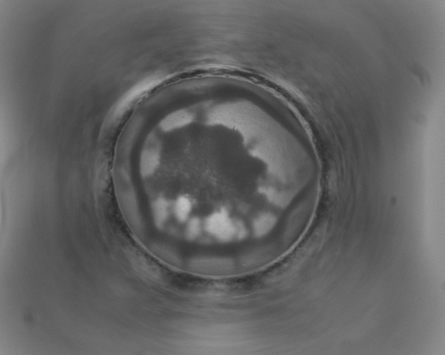 X0000115211359200911121855
