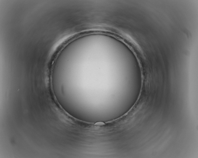 X0000115211360200911121855