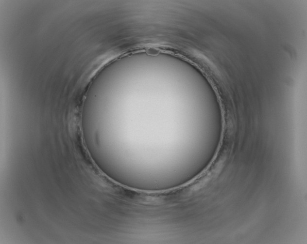 X0000115211361200911121855