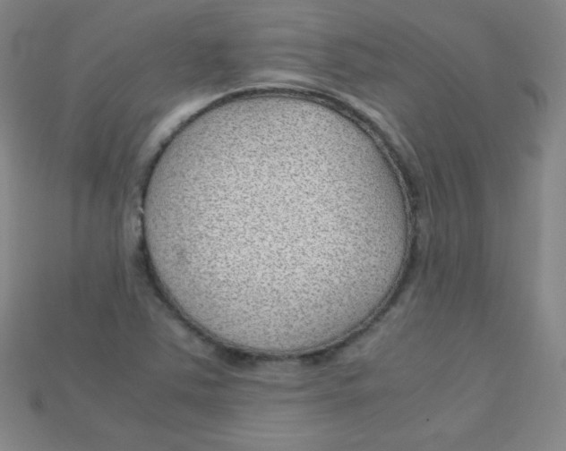 X0000115211363200911121855