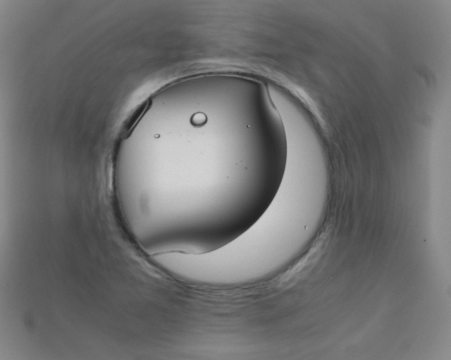 X0000115211365200911121855