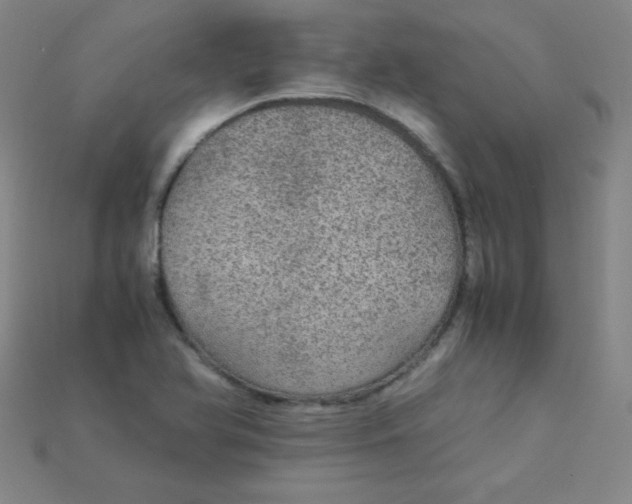 X0000115211366200911121855