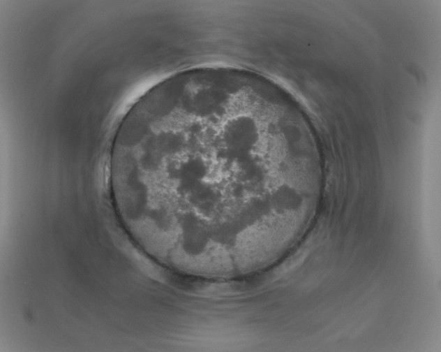 X0000115211367200911121855