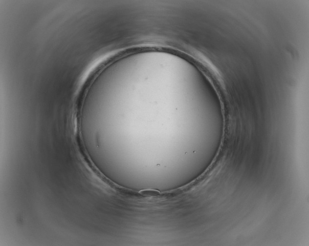 X0000115211368200911121855