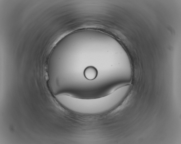 X0000115211369200911121855