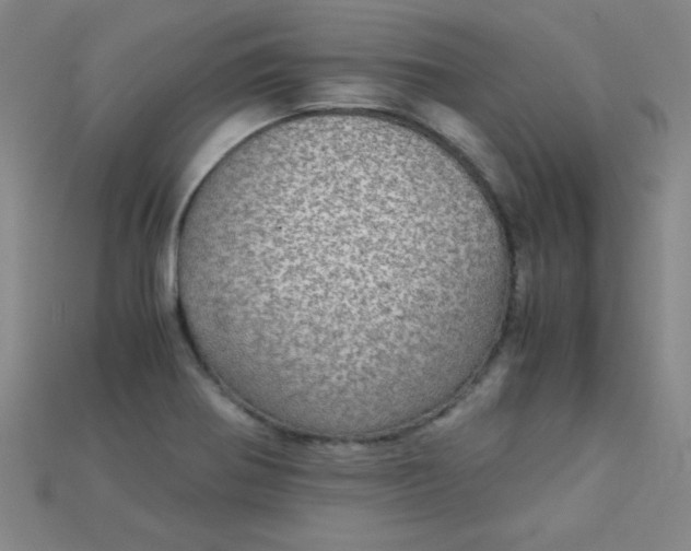 X0000115211370200911121855