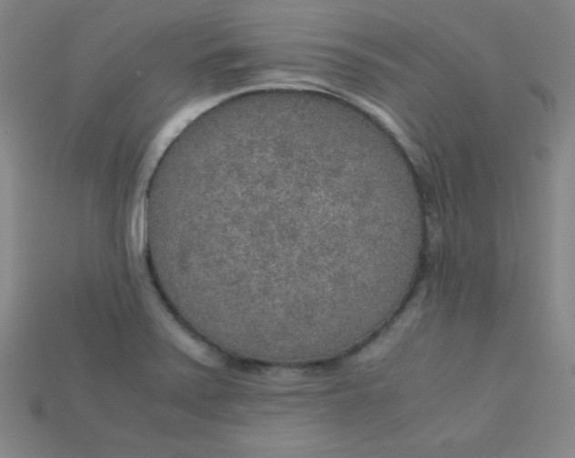 X0000115211371200911121855