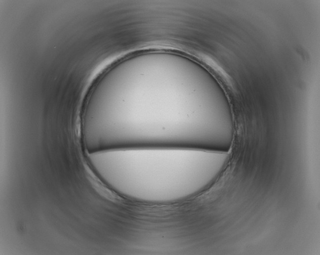 X0000115211372200911121855