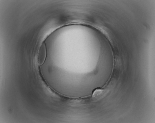 X0000115211373200911121855