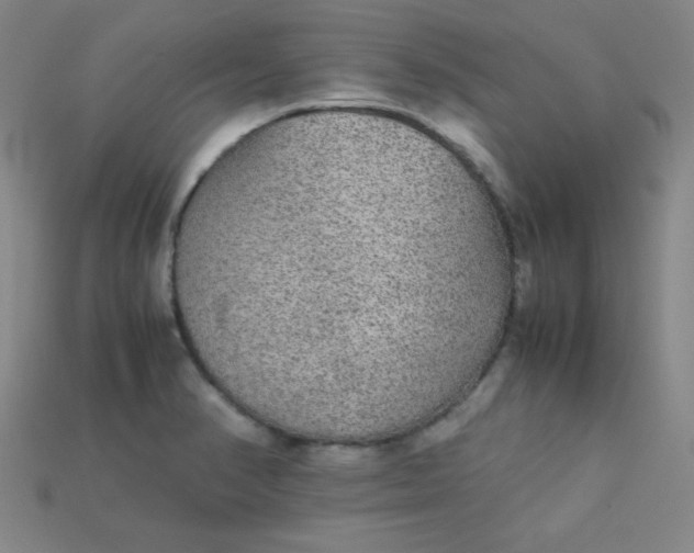 X0000115211374200911121855