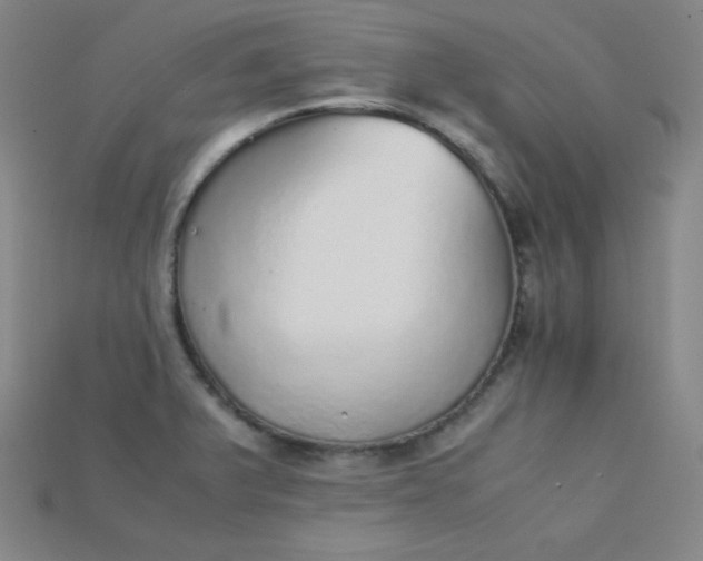 X0000115211375200911121855