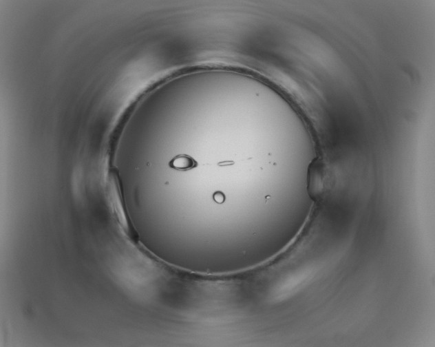 X0000115211376200911121855