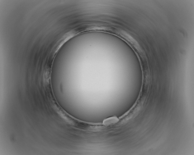 X0000115211377200911121855