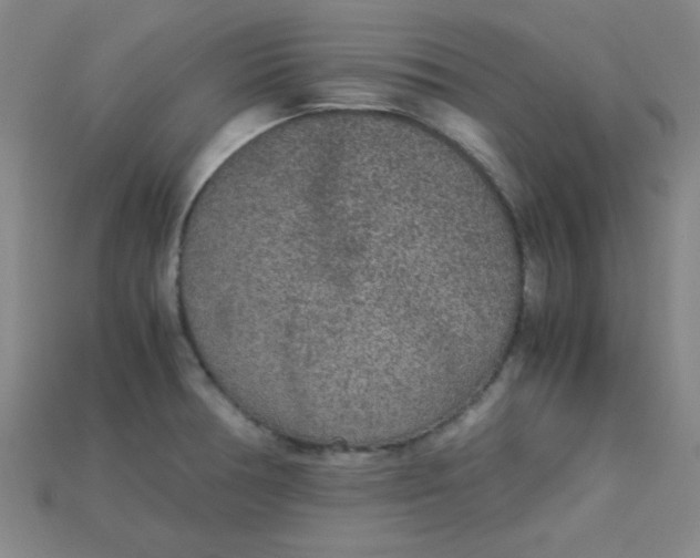 X0000115211378200911121855