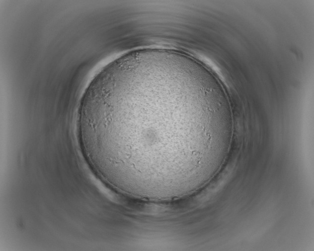X0000115211379200911121855