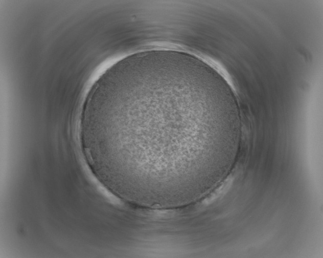 X0000115211381200911121855