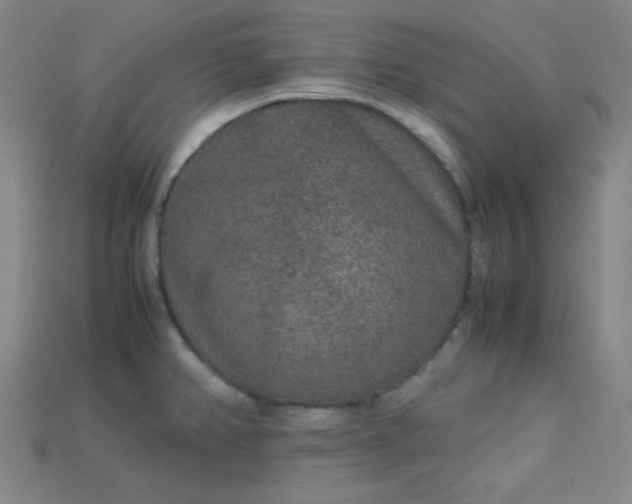X0000115211382200911121855