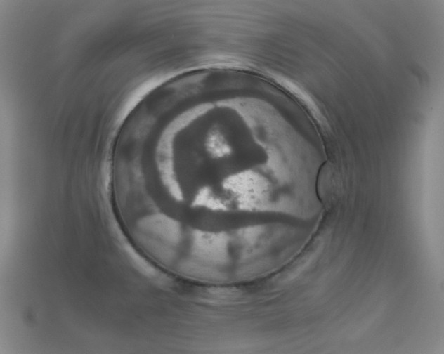 X0000115211383200911121855
